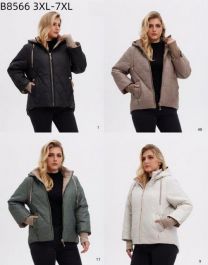 Kurtka damskie (3XL-7XL/5szt)