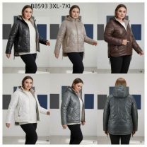 Kurtka damskie (3XL-7XL/5szt)