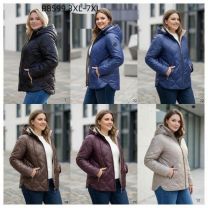 Kurtka damskie (3XL-7XL/5szt)