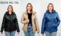 Kurtka damskie (3XL-7XL/5szt)