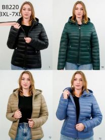 Kurtka damskie (3XL-7XL/5szt)