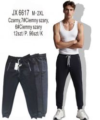 Spodnie dresowy męskie (M-2XL/12szt)
