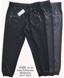 Spodnie dresowe męskie (2-5XL/12szt)