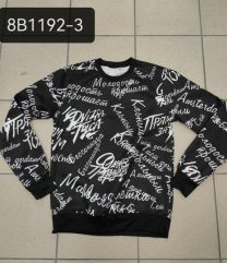 Bluzy bez kaptura męskie (M-2XL/12szt)