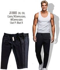Spodnie dresowy męskie (2-5XL/12szt)