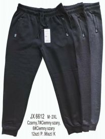 Spodnie dresowy męskie (M-2XL/12szt)