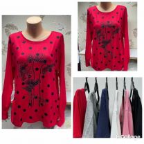 Bluzka damska (XL-3XL/12szt)