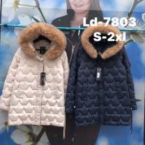 Kurtka damskie (S-2XL/5szt)