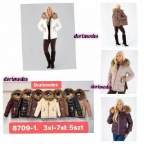 kurtka damskie (3XL-7XL/5szt)