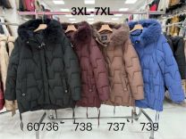 Kurtka damskie (3XL-7XL/5szt)