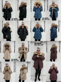 Kurtka damskie (5-9XL/5szt)