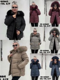 Kurtka damskie (3XL-7XL/5szt)