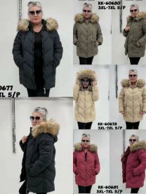 Kurtka damskie (3XL-7XL/5szt)