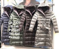 kurtka damskie (3XL-6XL/4szt)