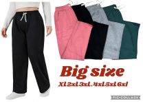 Spodnie dresowy damskie (XL-6XL/12szt)