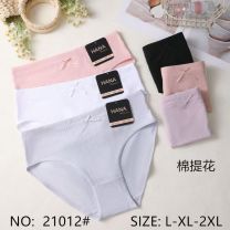 MAJTKI DAMSKIE (L-2XL/24szt)