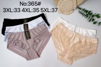Majtki damskie (3-5XL/24szt)