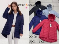 kurtka damskie (3XL-7XL/5szt)