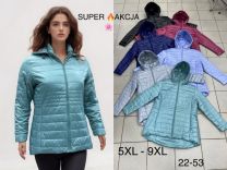 kurtka damskie (5XL-9XL/5szt)