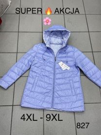 kurtka damskie (4XL-9XL/6szt)