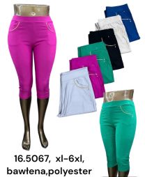 PLUS_Rybaczki damskie (XL-6XL/12szt)