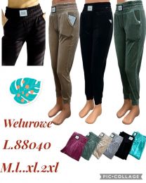 Spodnie welurowy (M-2XL/12szt)