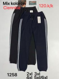 PLUS_Spodnie damskie (2XL-6XL/12szt)