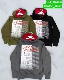 Bluzy chłopięca (134-164/6szt)