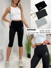 PLUS_Rybaczki legginsy damskie (XL-6XL/12szt)