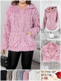 kurtka damskie (3-6XL/12szt)