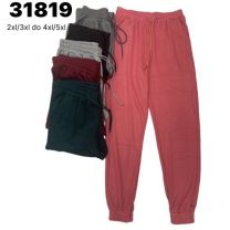 PLUS_Spodnie dresowy damskie (2-5XL/12szt)