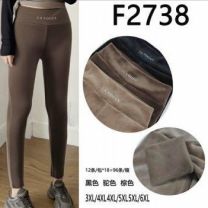 PLUS_Spodnie welurowy (3XL-6XL/12szt )