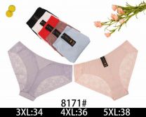 MAJTKI DAMSKIE (3-5XL /24szt)