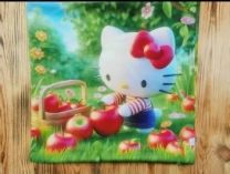 Poszewka-dwustronny (45x45cm/12szt)