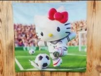 Poszewka-dwustronny (45x45cm/12szt)