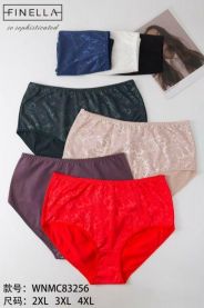 MAJTKI DAMSKIE (2-4XL/24szt)