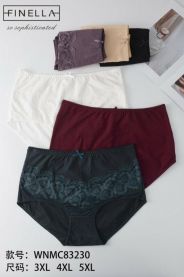 MAJTKI DAMSKIE (3XL-5XL/24szt)