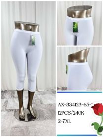 Rybaczki legginsy damskie (2XL-7XL/12szt)