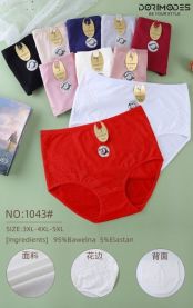 Majtki damskie (3-5XL/24szt)