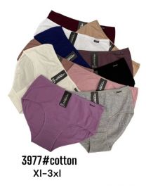 MAJTKI DAMSKIE (XL-3XL/24szt)