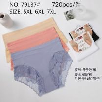 Majtki damskie (5-7XL/24szt)