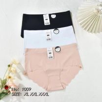 MAJTKI DAMSKIE (XL-3XL/24szt)