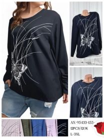 Bluzka damska (L-3XL/12szt)