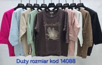 Bluzki Turecka (uniwersalny/6szt)