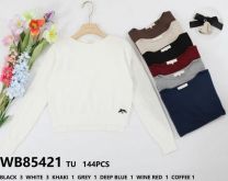 Swetry damskie (Uniwersalny/10 szt)