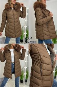 Kurtka damska (3-7XL/5szt)