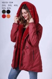 Kurtka damskie (2-6XL/5szt)