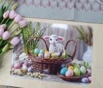 Podkładki całoroczne  (30x40cm/12szt)