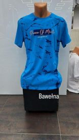 Bluzka męska (M-3XL/12szt)