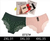 Majtki damskie (2-4XL/24szt)